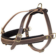 Schutzhund harness cheap