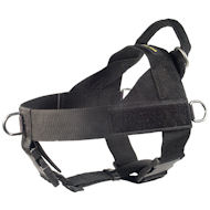 Schutzhund harness 2025