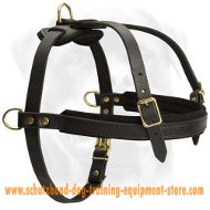 Schutzhund Tracking/Pulling Leather Dog Harness  Schutzhund Tracking/Pulling Leather Dog Harness