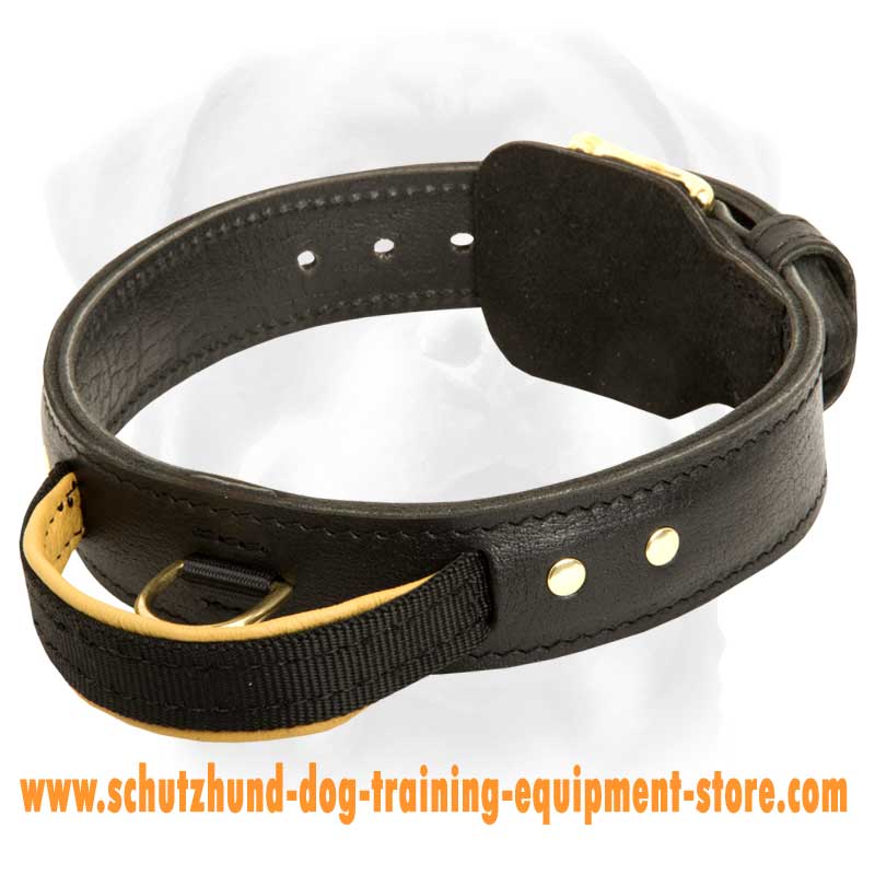 amazing dog collars