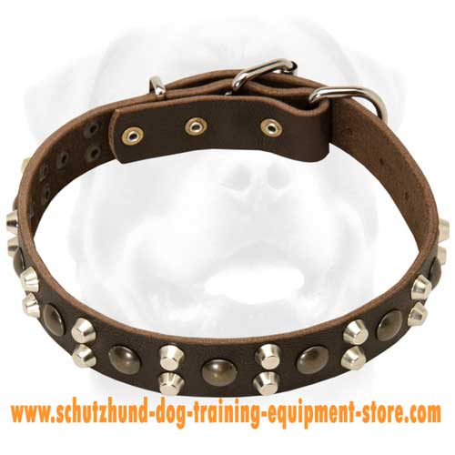Leather Dog Collar For Obedience Training