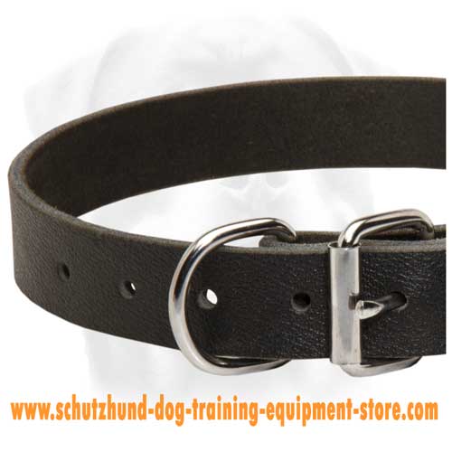 Top Grade Leather Dog Collar