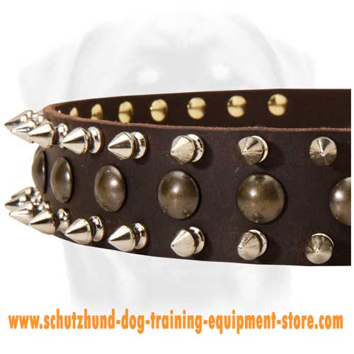 Leather Dog Collar Walking In Style