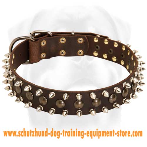 Leather Dog Collar Daily Use