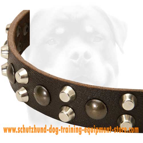 Nearly Ideal Leather Dog Collar