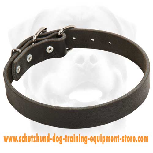 Leather Dog Collar For Easy Walking
