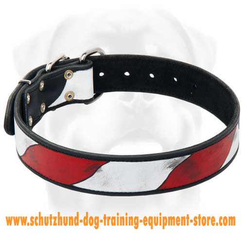 Leather Dog Collar With Amazing Design