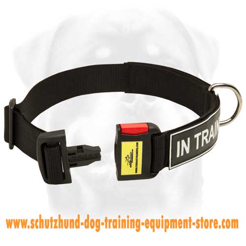 Nylon Dog Collar For Easy Walking