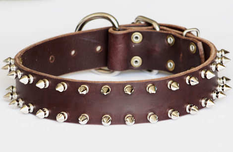 Spiked Leather Dog Collar- 2 Rows of spikes collar for all dogs