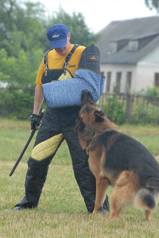 Perfect place to get Schutzhund And Sport Bite Sleeves , Dog Protection Sleeve , Bite Sleeve Covers , dog harness, dog muzzle, dog collar and other great products