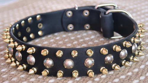 3 Rows brass spikes Leather dog collar with studs